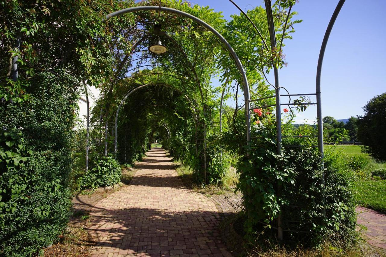 Ferienwohnung Ambiente Gaggenau Exterior foto